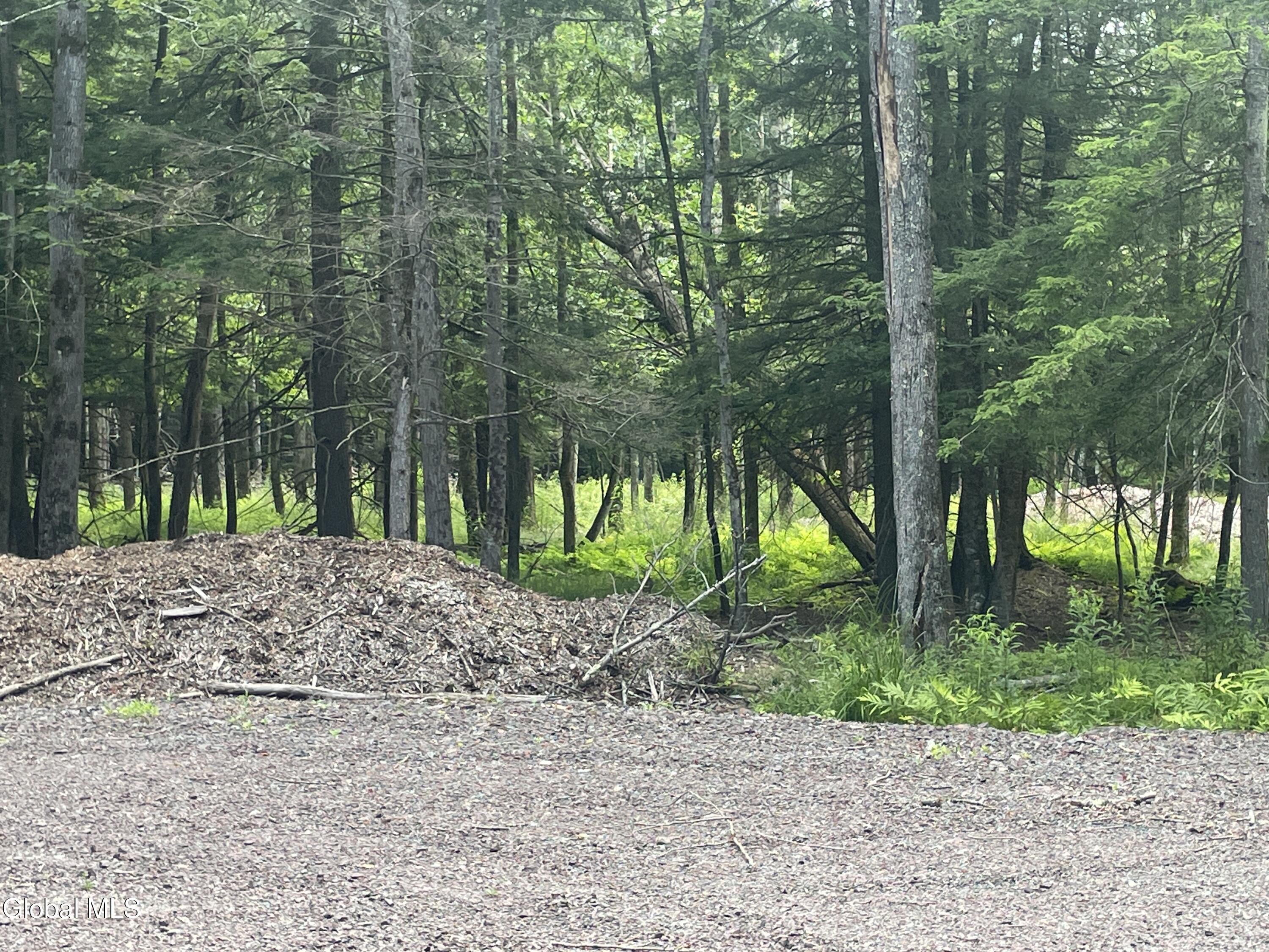 Tbd Boulder Brook Road Windham NY 12496