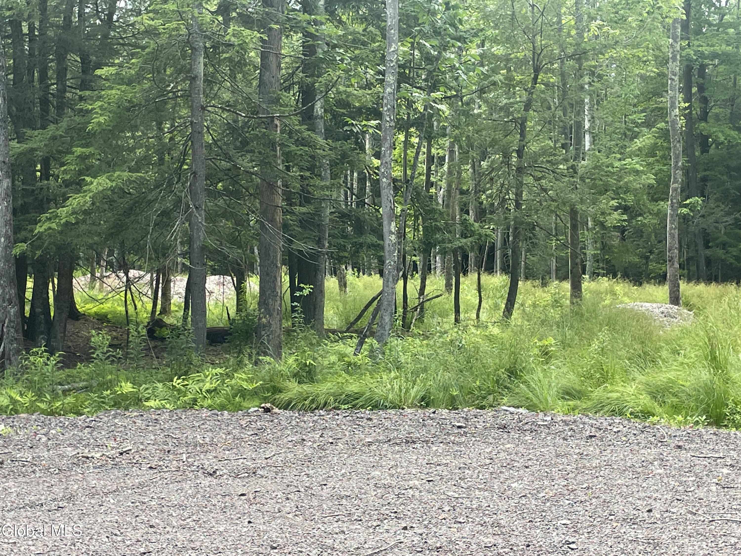 Tbd Boulder Brook Road Windham NY 12496