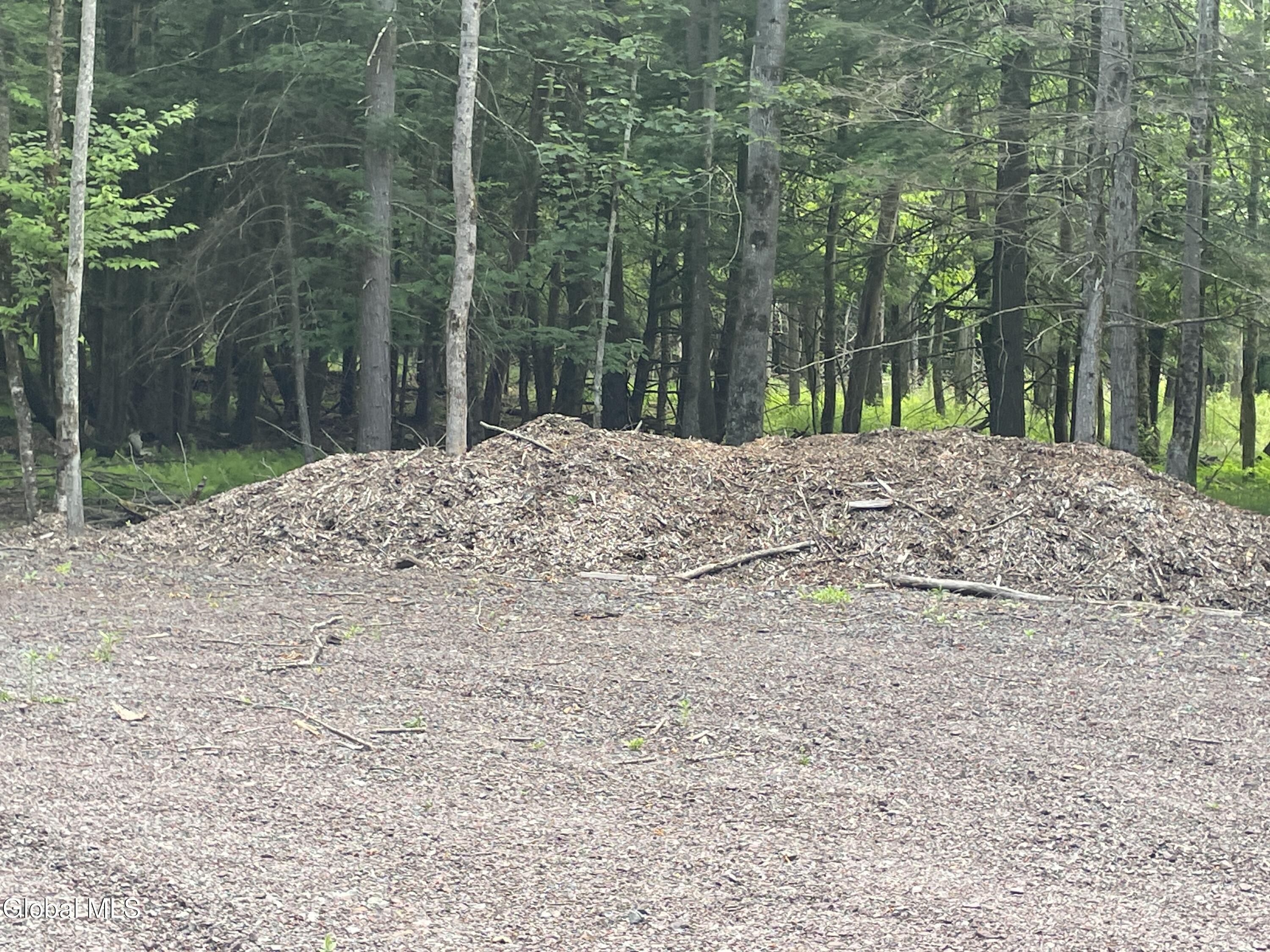 Tbd Boulder Brook Road Windham NY 12496