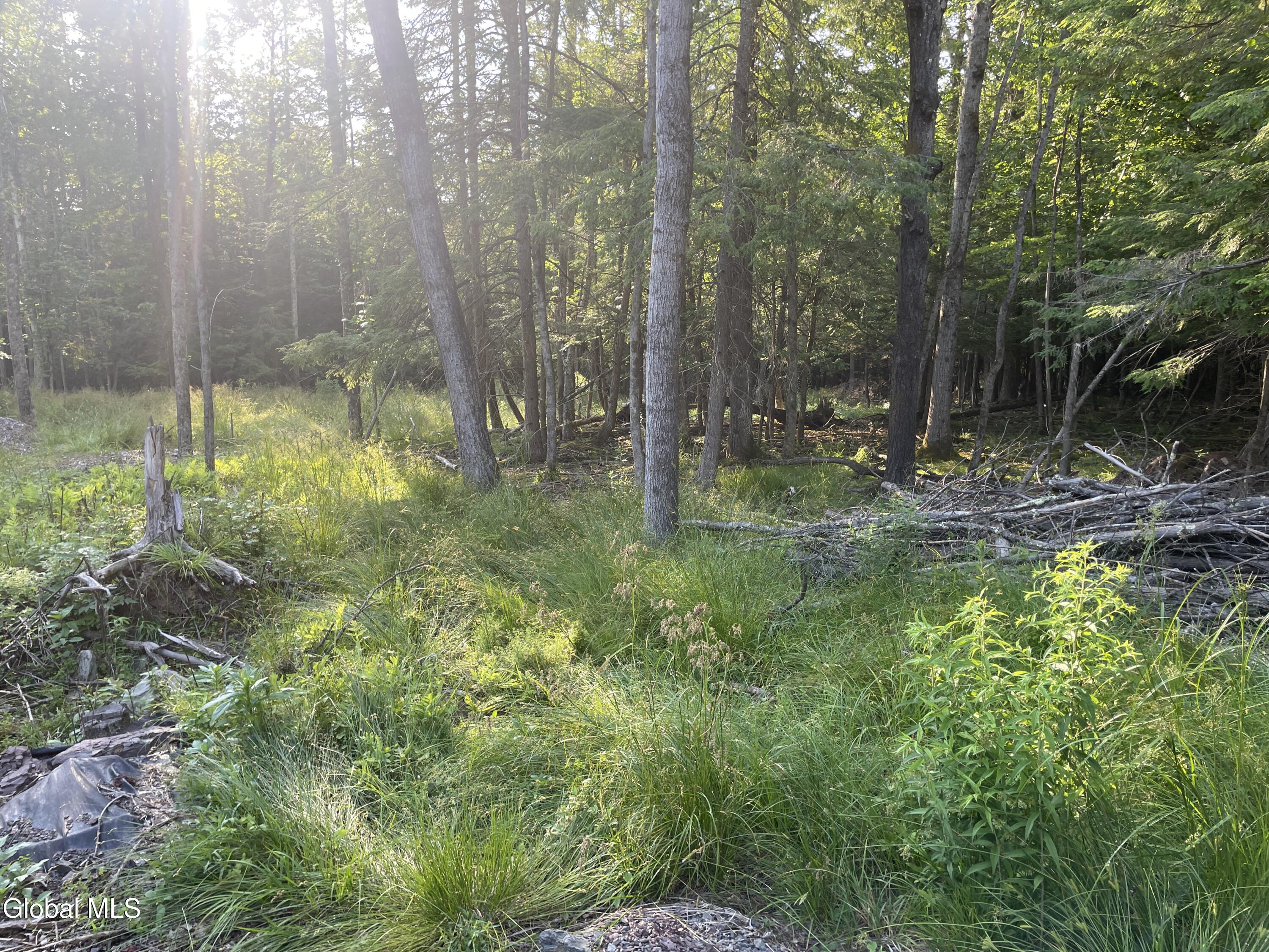 Tbd Boulder Brook Road Windham NY 12496