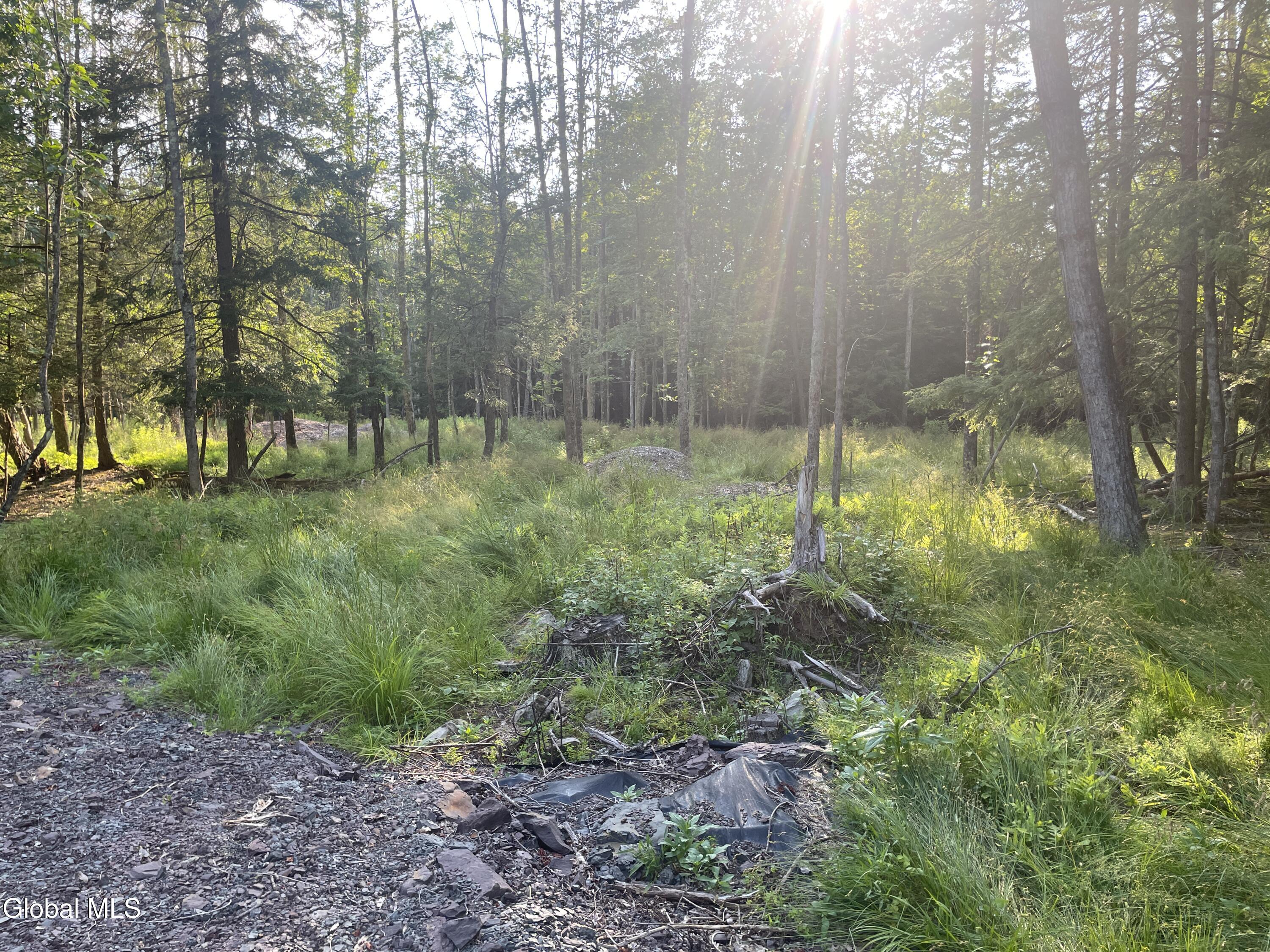 Tbd Boulder Brook Road Windham NY 12496
