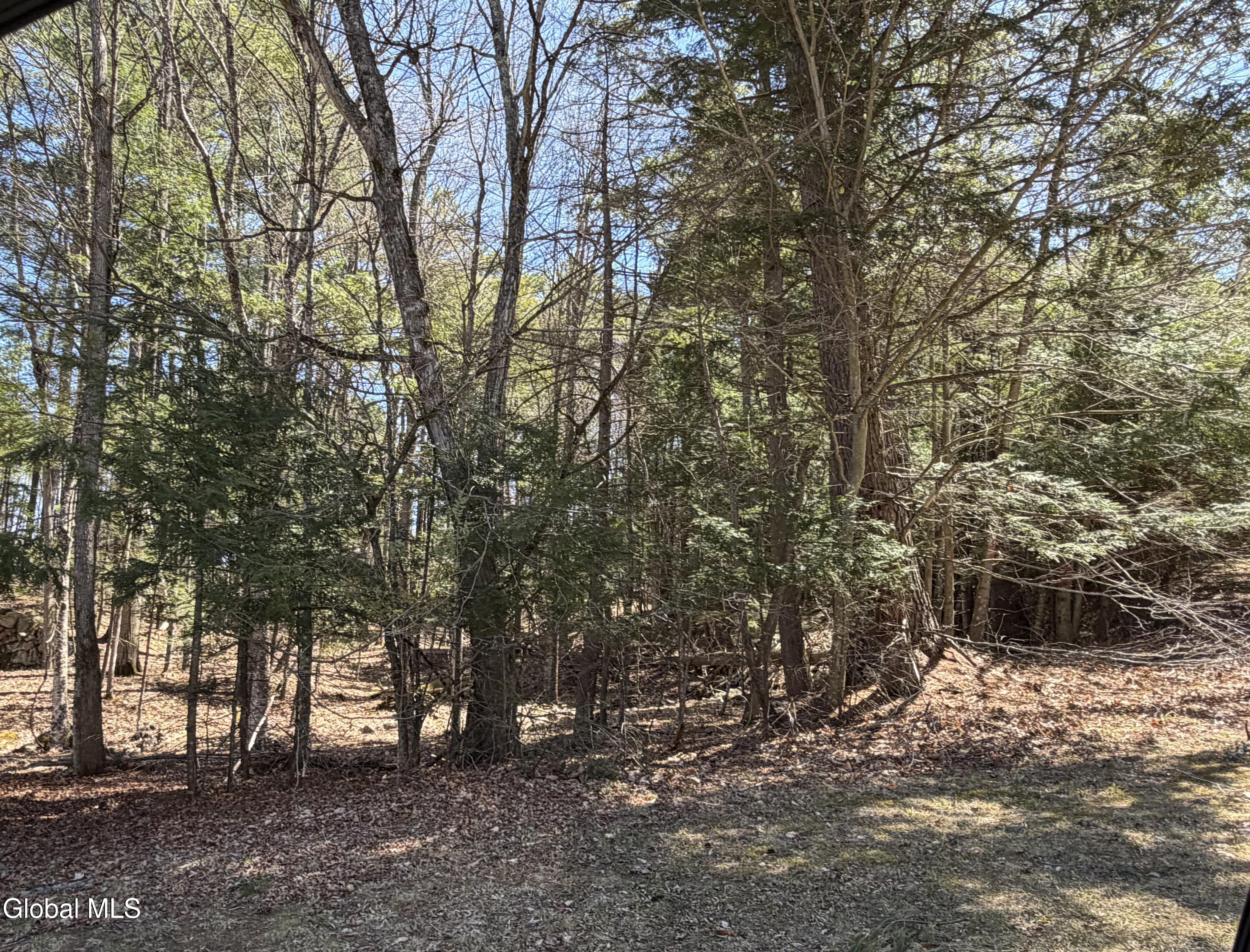 5509 Lincoln Pond Road Elizabethtown NY 12932
