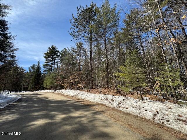 204 Mountain Path North Creek NY 12853