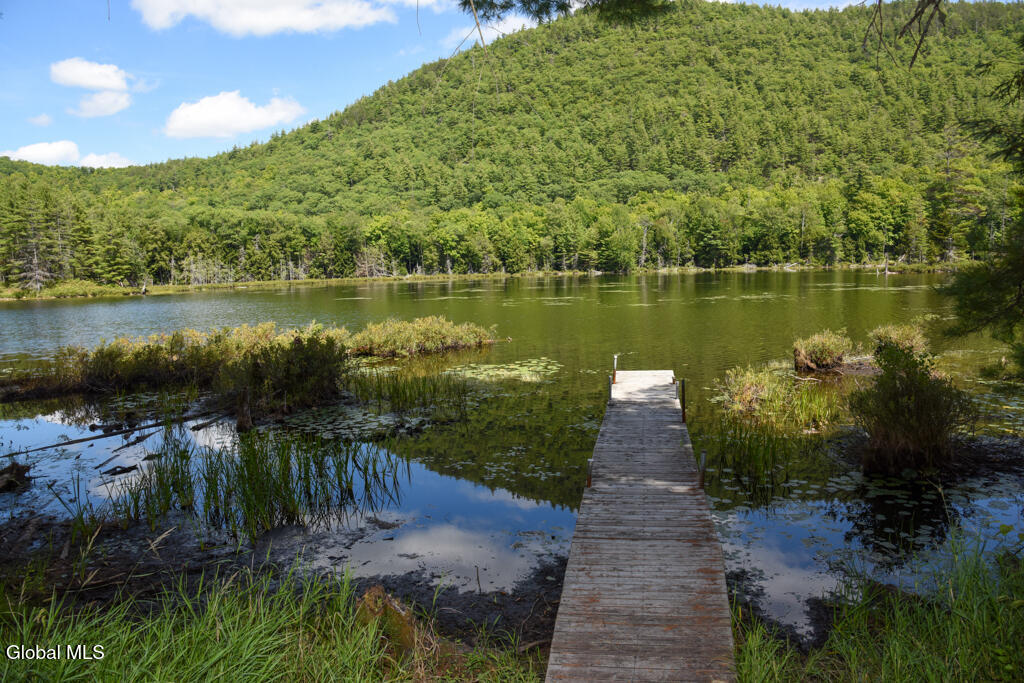 204 Mountain Path North Creek NY 12853