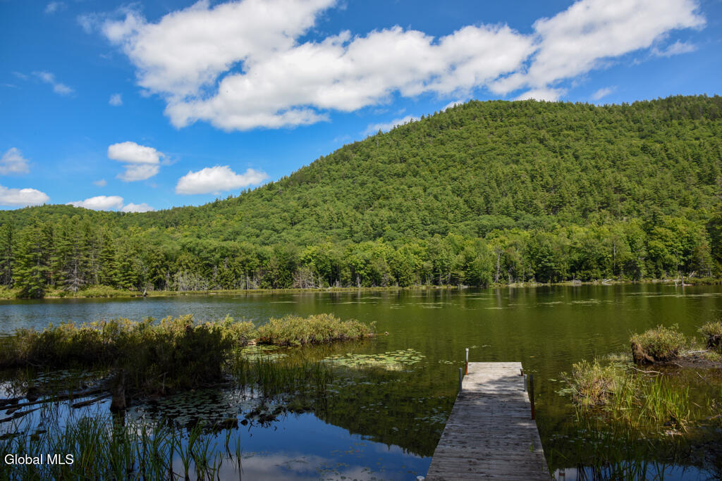 204 Mountain Path North Creek NY 12853