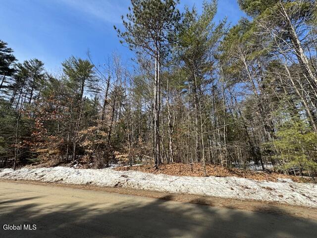 204 Mountain Path North Creek NY 12853