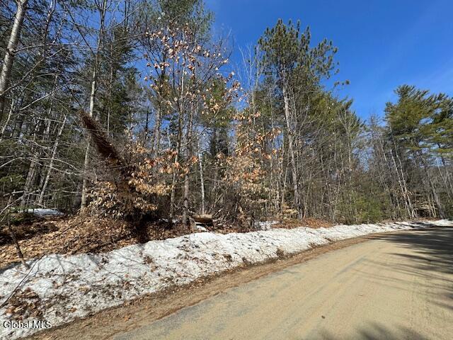 204 Mountain Path North Creek NY 12853