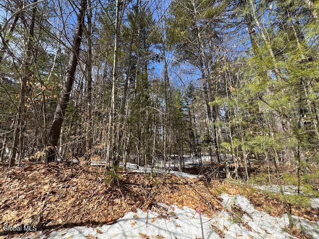 204 Mountain Path North Creek NY 12853