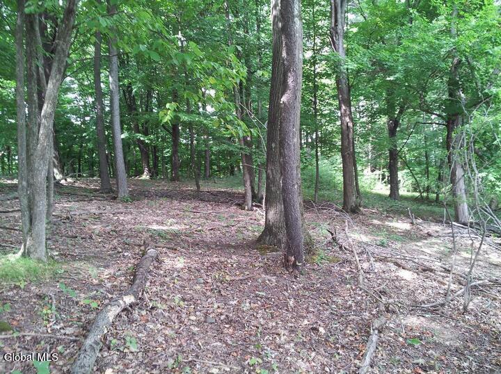 109 Durham Road Stillwater NY 12170