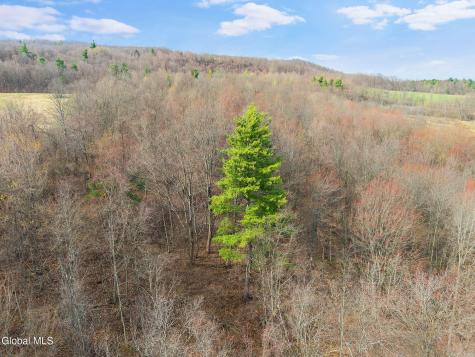 3260 County Road 31 Cherry Valley NY 13320