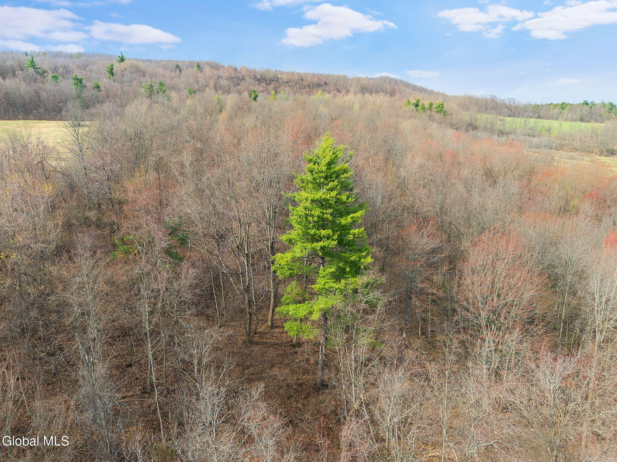 3260 County Road 31 Cherry Valley NY 13320
