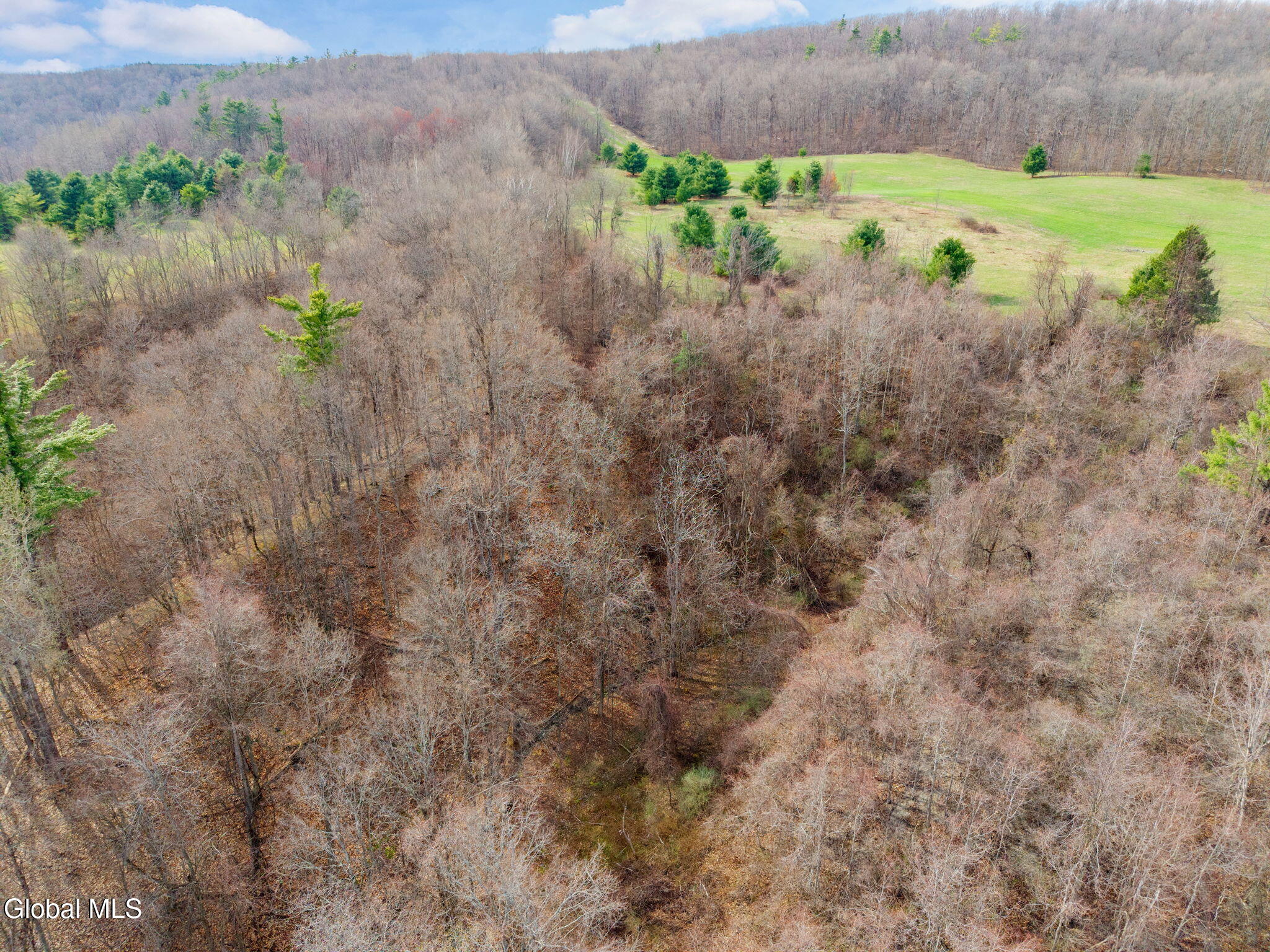 3260 County Road 31 Cherry Valley NY 13320