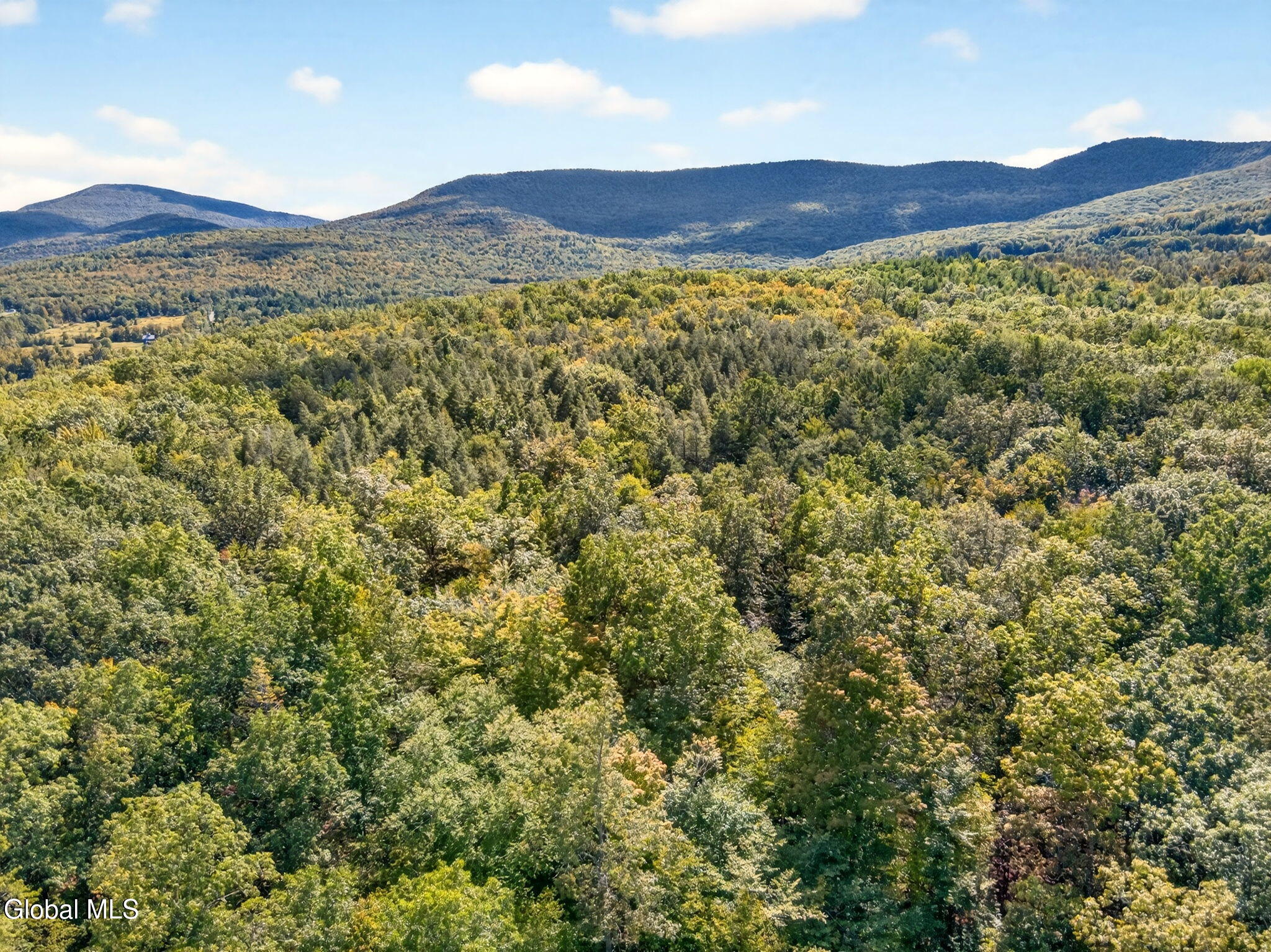 189 Sutton Road Cornwallville NY 12418