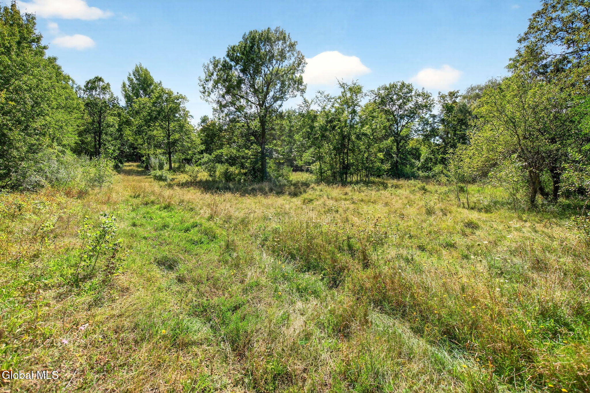 189 Sutton Road Cornwallville NY 12418