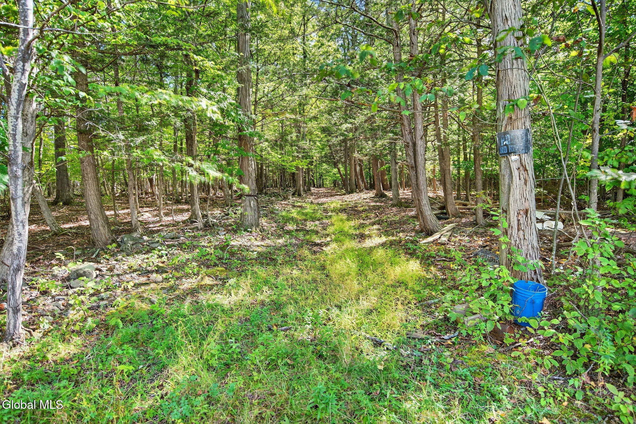 189 Sutton Road Cornwallville NY 12418