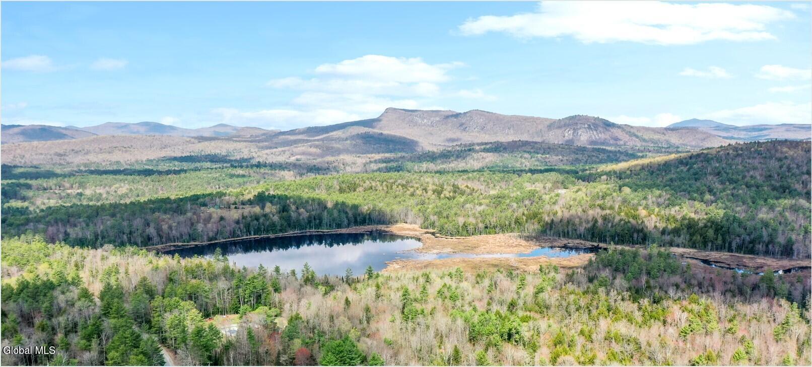 L9 Byrd Pond North Creek NY 12853