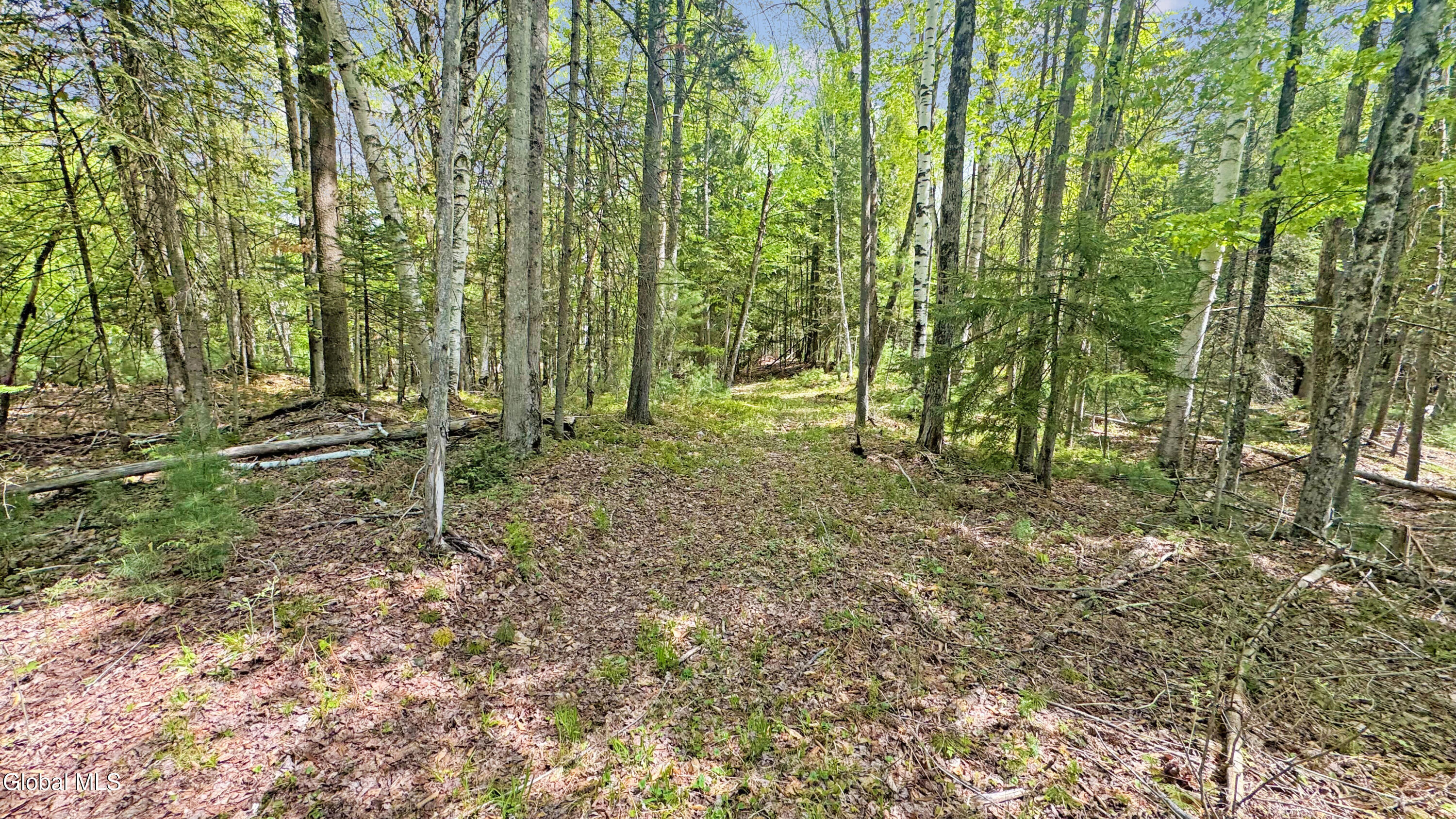 L9 Byrd Pond North Creek NY 12853