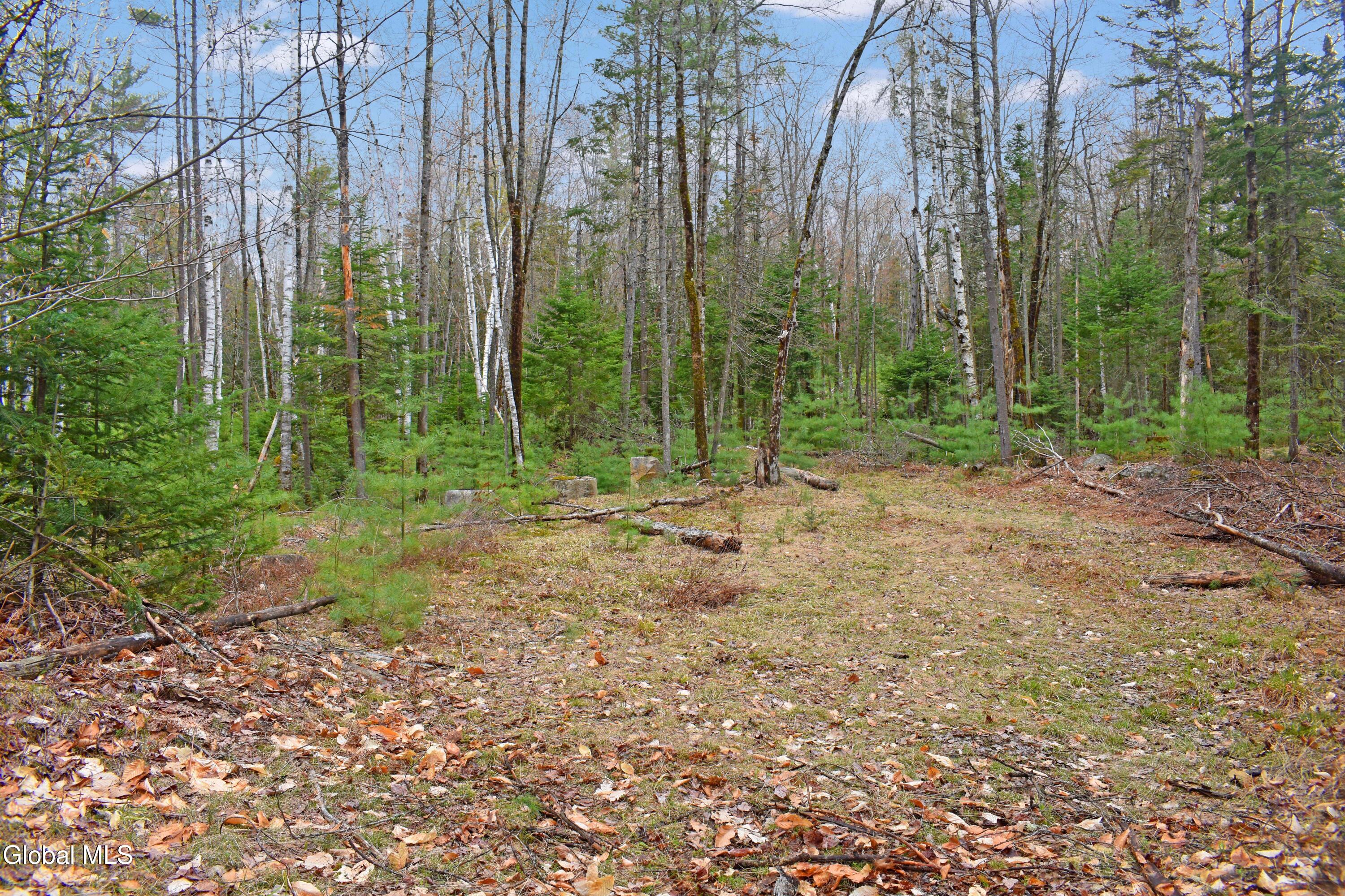 L9 Byrd Pond North Creek NY 12853