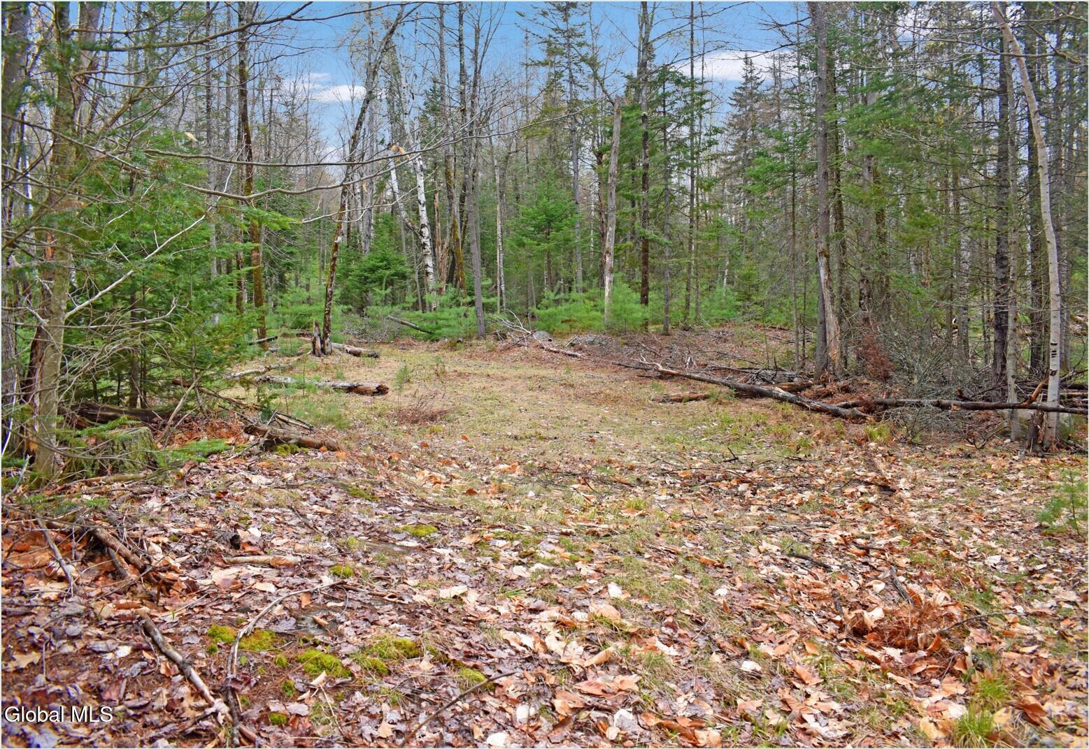 L9 Byrd Pond North Creek NY 12853