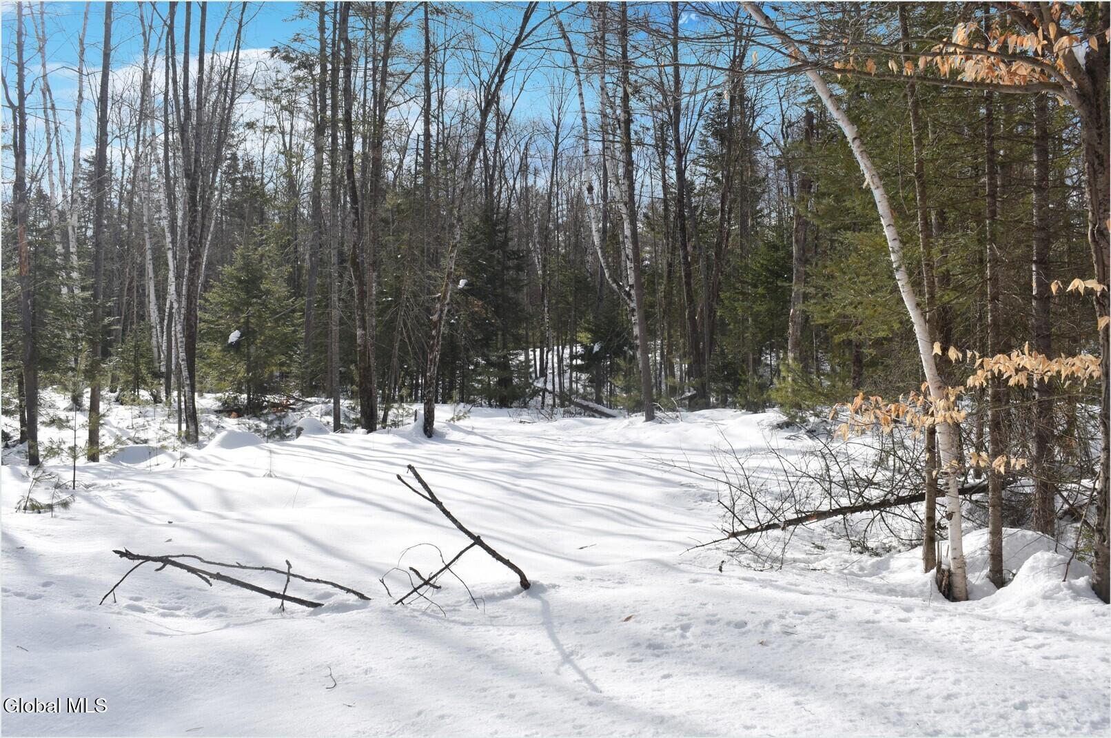 L9 Byrd Pond North Creek NY 12853