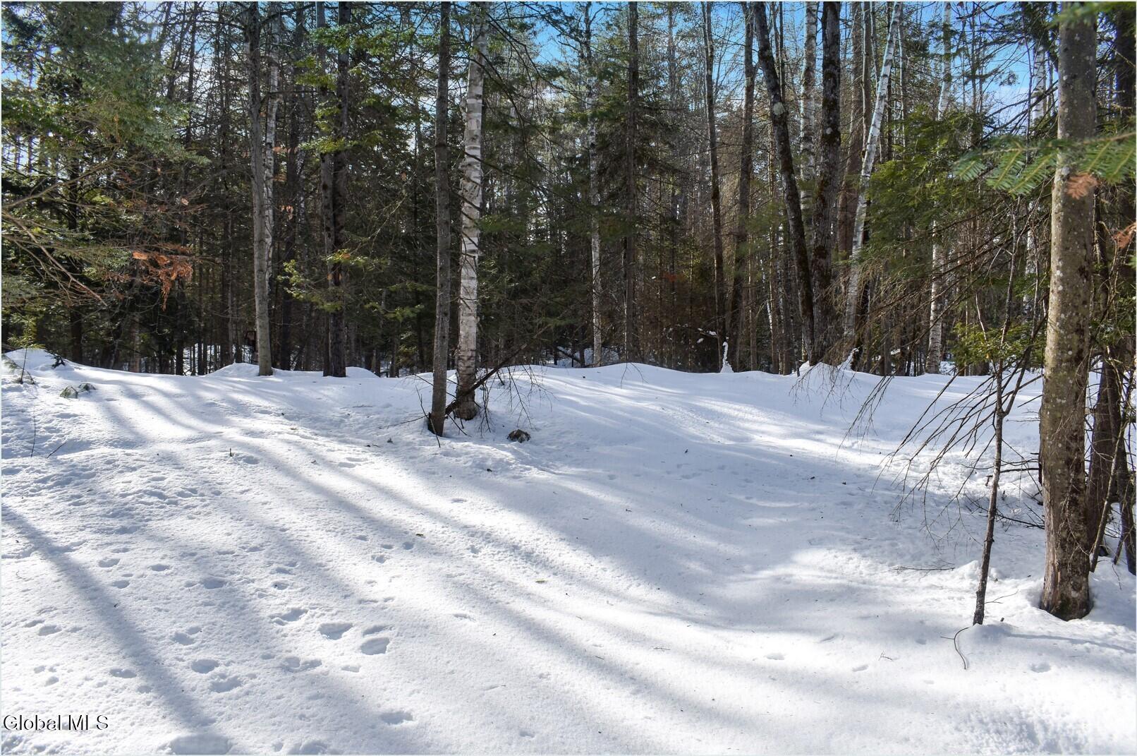 L9 Byrd Pond North Creek NY 12853