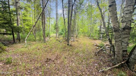 L9 Byrd Pond North Creek NY 12853