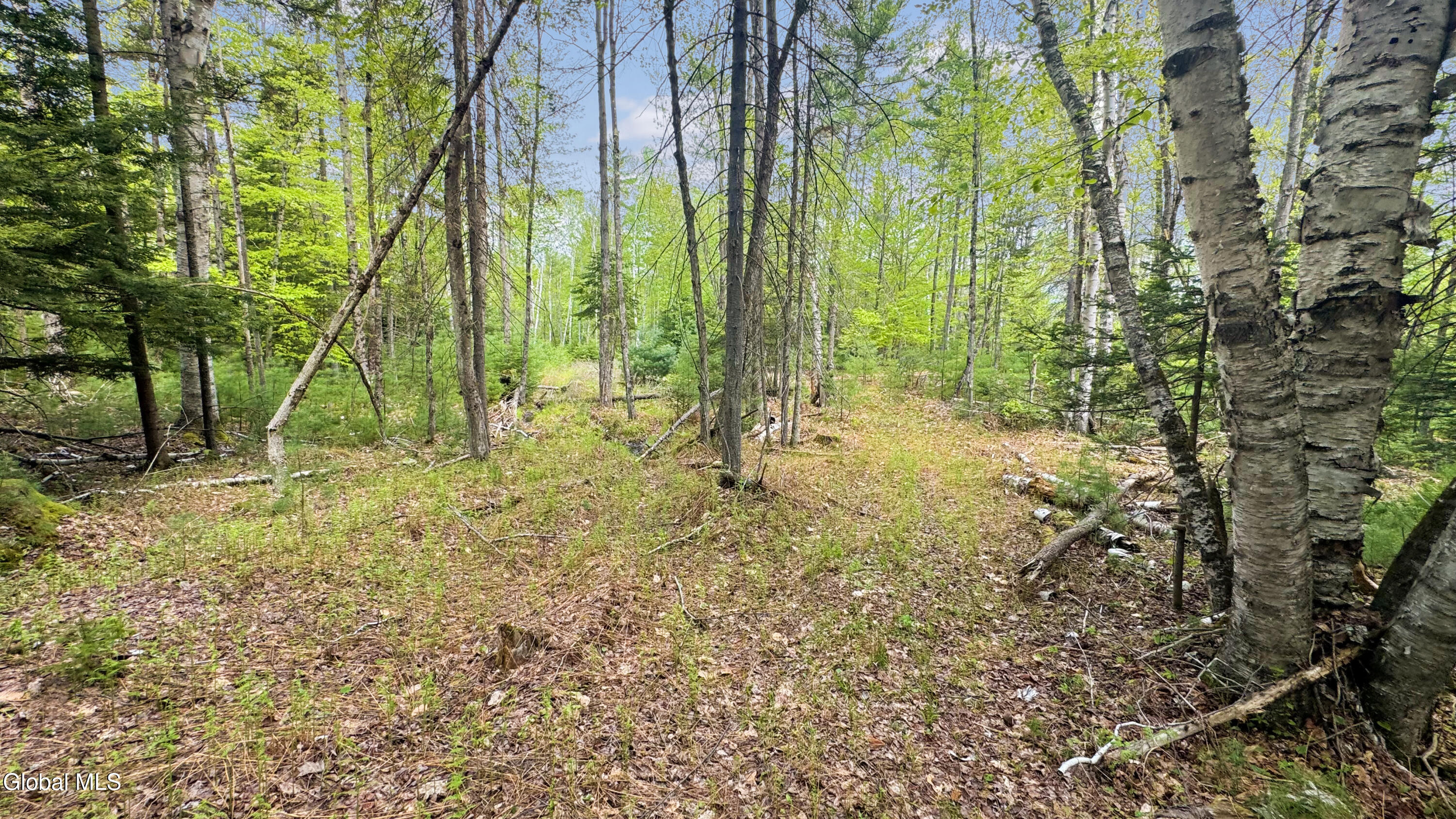 L9 Byrd Pond North Creek NY 12853