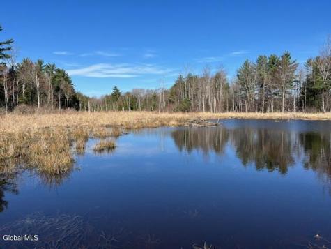 L11.1 Corbin Hill Road Sloansville NY 12160