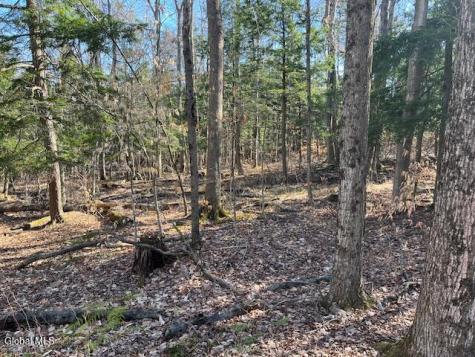L11.1 Corbin Hill Road Sloansville NY 12160