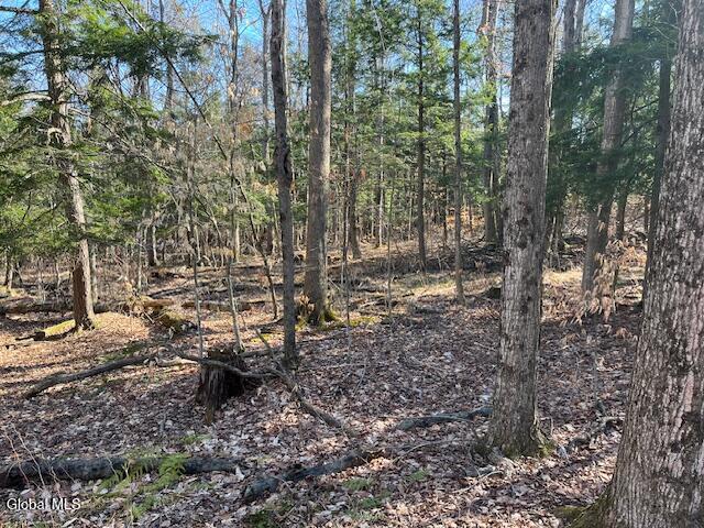 L11.1 Corbin Hill Road Sloansville NY 12160
