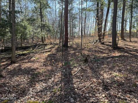 L11.1 Corbin Hill Road Sloansville NY 12160