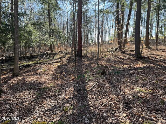 L11.1 Corbin Hill Road Sloansville NY 12160