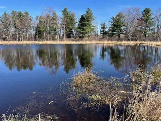 L11.1 Corbin Hill Road Sloansville NY 12160
