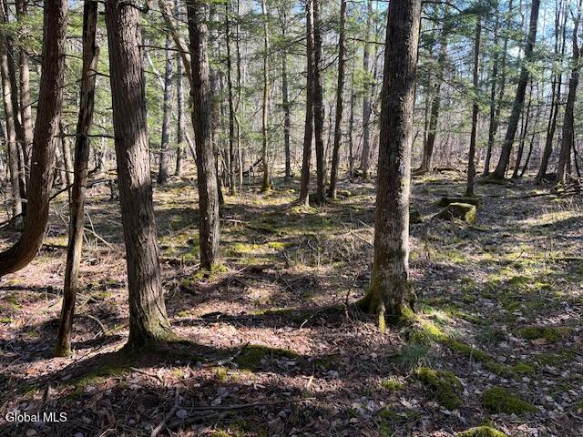 L11.1 Corbin Hill Road Sloansville NY 12160