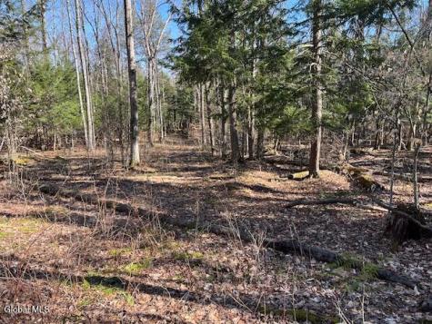 L11.1 Corbin Hill Road Sloansville NY 12160
