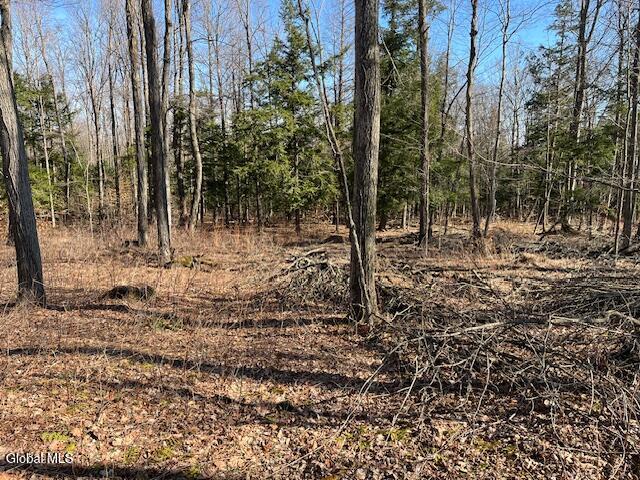L11.1 Corbin Hill Road Sloansville NY 12160