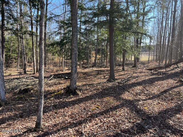 L11.1 Corbin Hill Road Sloansville NY 12160