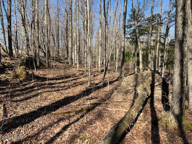 L11.1 Corbin Hill Road Sloansville NY 12160