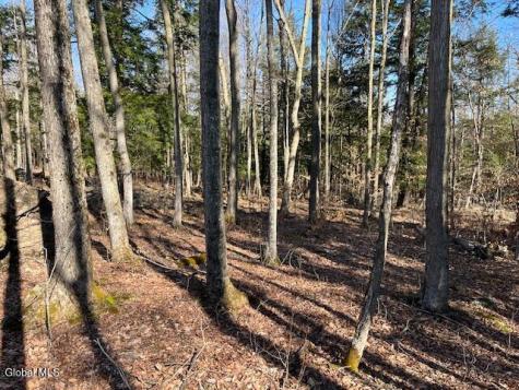 L11.1 Corbin Hill Road Sloansville NY 12160