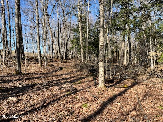 L11.1 Corbin Hill Road Sloansville NY 12160