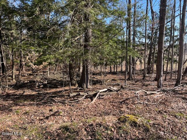 L11.1 Corbin Hill Road Sloansville NY 12160