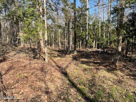 L11.1 Corbin Hill Road Sloansville NY 12160