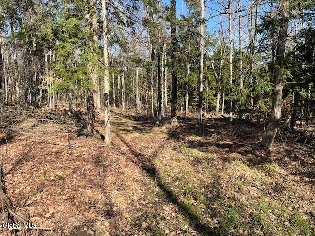 L11.1 Corbin Hill Road Sloansville NY 12160