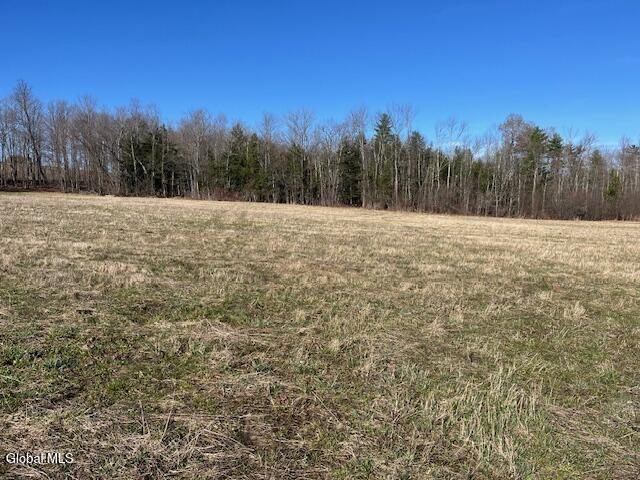 L11.1 Corbin Hill Road Sloansville NY 12160