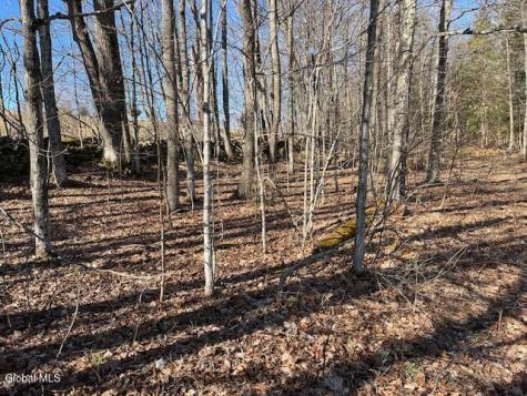L11.1 Corbin Hill Road Sloansville NY 12160