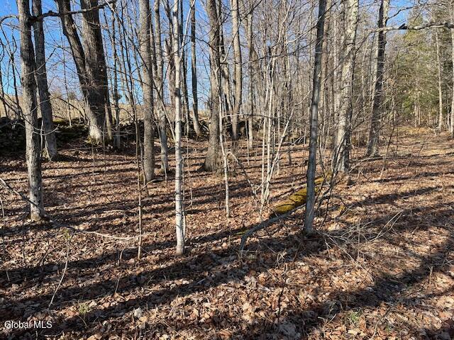L11.1 Corbin Hill Road Sloansville NY 12160