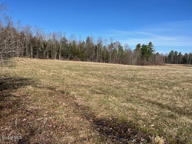 L11.1 Corbin Hill Road Sloansville NY 12160