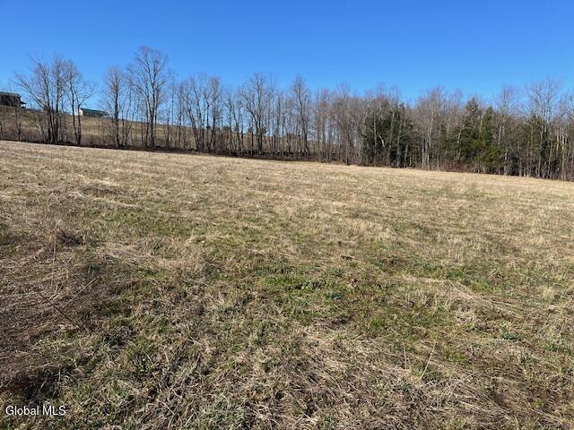 L11.1 Corbin Hill Road Sloansville NY 12160
