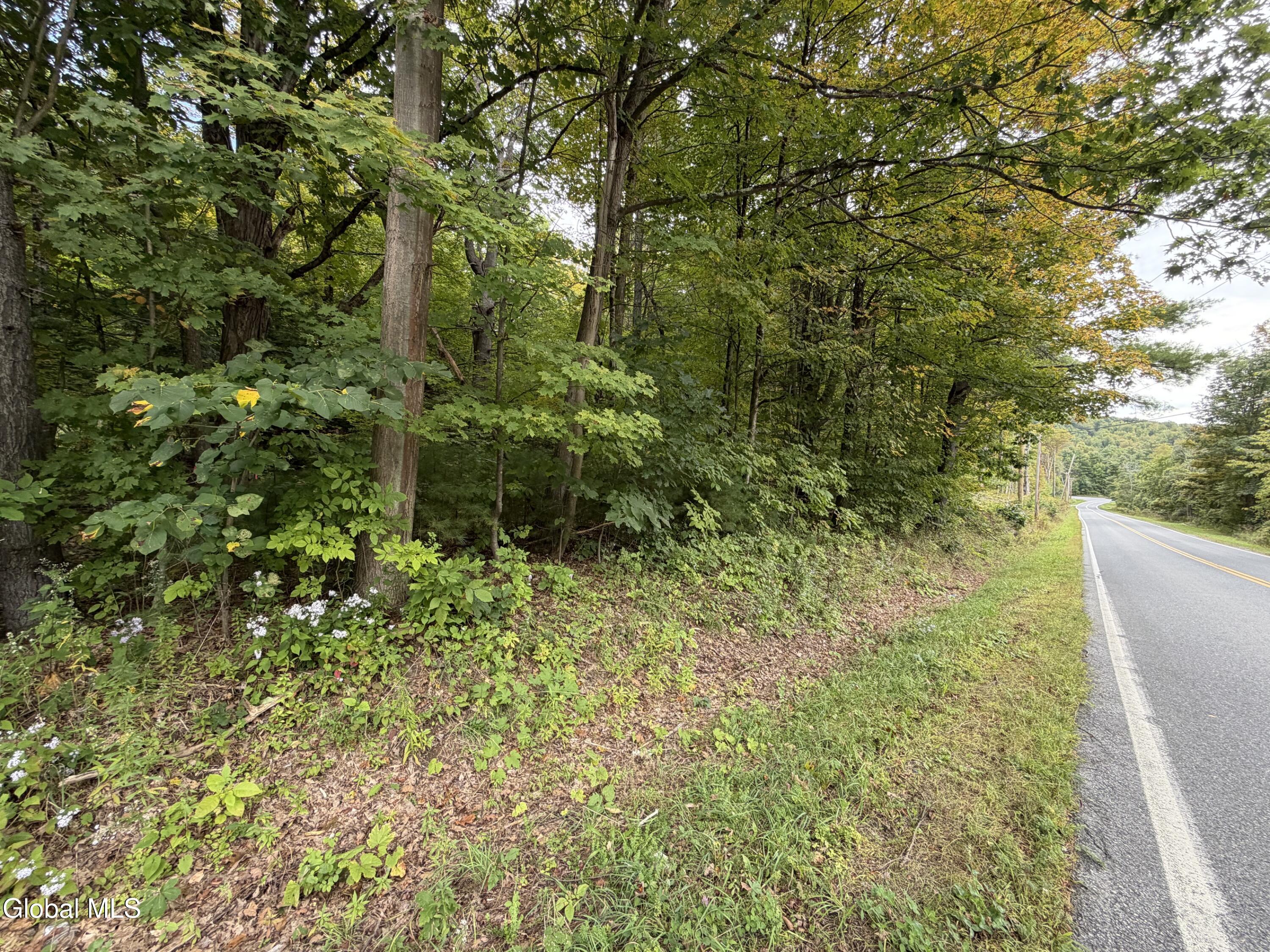 1542 Cr 21 Whitehall NY 12887