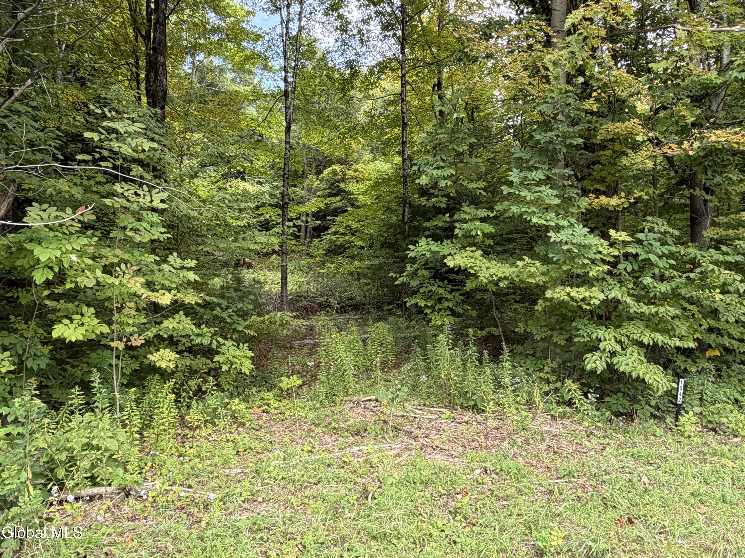 1542 Cr 21 Whitehall NY 12887
